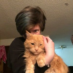 Meet your Posher, Robin